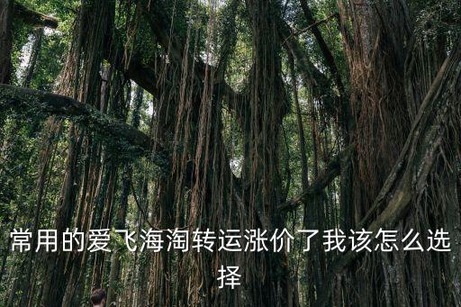 愛飛海淘，愛飛網怎么樣可信嗎