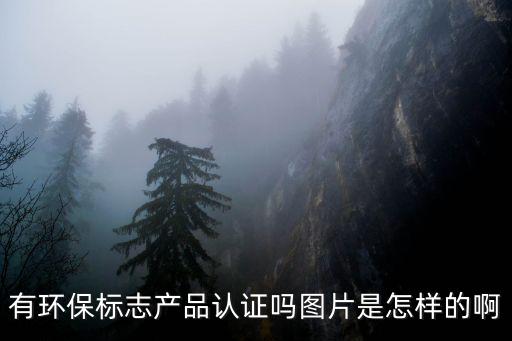 有環保標志產品認證嗎圖片是怎樣的啊