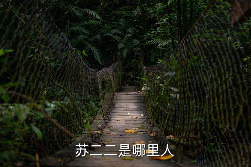 蘇二姐，蘇二二是哪里人