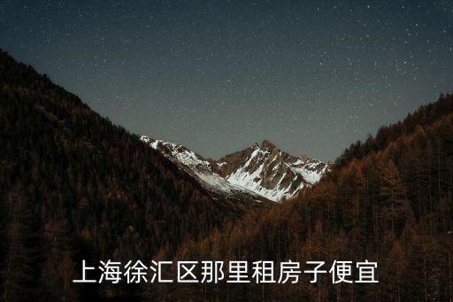 上海徐匯區租房，徐匯區哪里租房子便宜5001000元一月