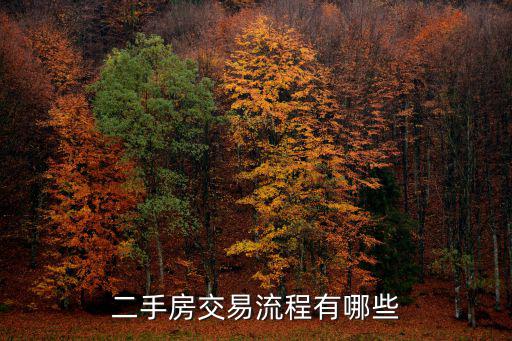 二手房交易流程，昆明二手房按揭貸款買賣交易流程