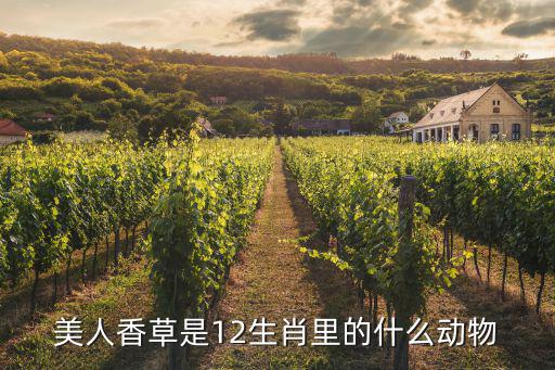 美人香，美人香草是12生肖里的什么動物