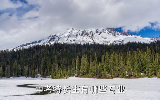 中考特長生，我是中考特長生現在考上高中了但高中不想學畫畫只想好好學