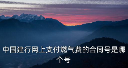 中國建行網(wǎng)上支付燃?xì)赓M(fèi)的合同號(hào)是哪個(gè)號(hào)