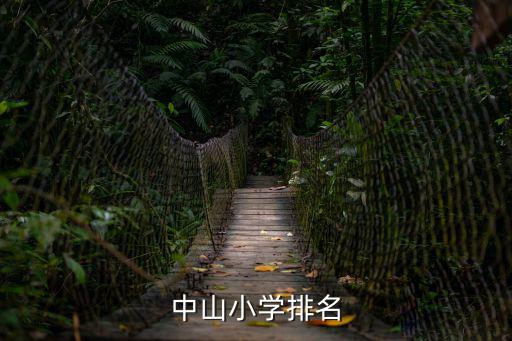 中山小學(xué)排名