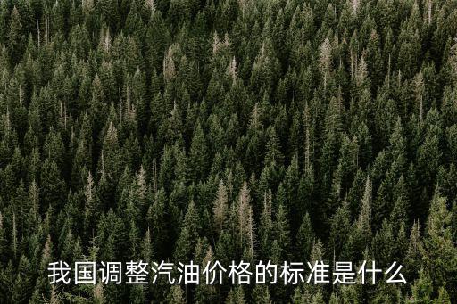調整油價，我國調整汽油價格的標準是什么