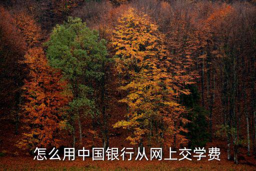 網上交學費，可不可以在網上交學費