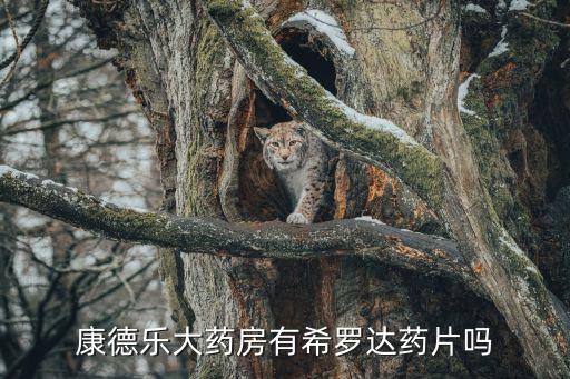 康德樂大藥房有希羅達藥片嗎