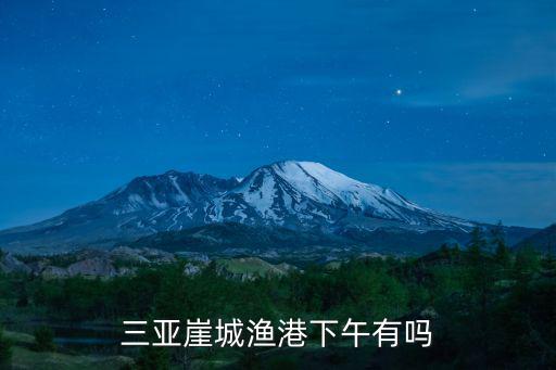 三亞崖城漁港下午有嗎