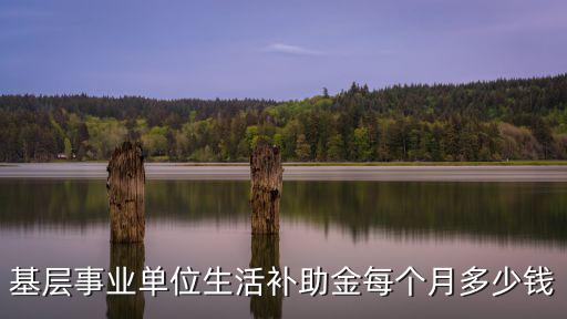 基層事業(yè)單位生活補(bǔ)助金每個(gè)月多少錢