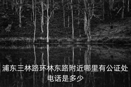 浦東三林路環林東路附近哪里有公證處電話是多少