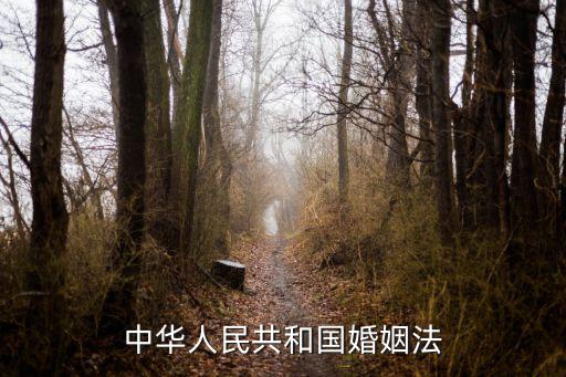 中華人民共和國婚姻法，中華人民共和國婚姻法有何內容