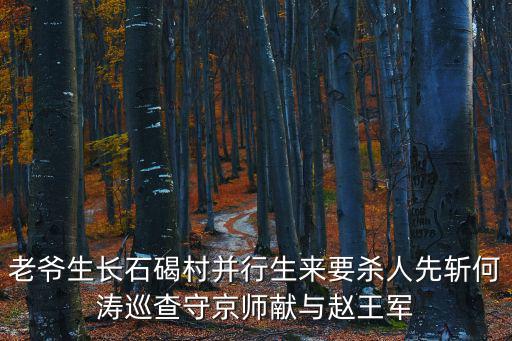 石碣村，老爺生長石碣村并行生來要殺人先斬何濤巡查守京師獻與趙王軍