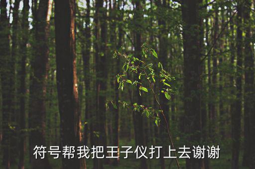 王子儀，符號(hào)幫我把王子儀打上去謝謝