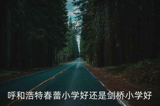 劍橋小學(xué)，張店劍橋小學(xué)怎么樣啊