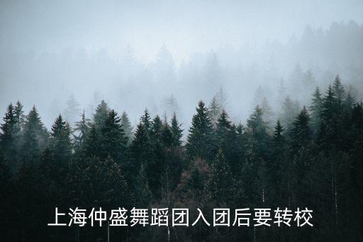 仲盛，仲盛集團(tuán)的介紹
