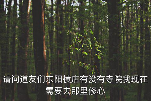 請問道友們東陽橫店有沒有寺院我現(xiàn)在需要去那里修心