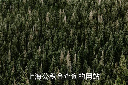 上海公積金查詢的網站