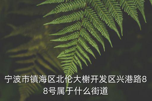 寧波市鎮海區北倫大榭開發區興港路88號屬于什么街道
