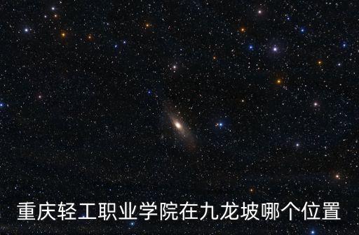 重慶輕工職業學院在九龍坡哪個位置