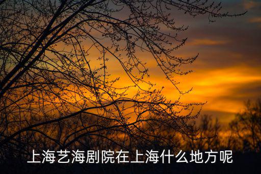 藝海劇院，上海藝海劇院什么位置看舞臺劇最好 幾排之前能看清臉因為我聽