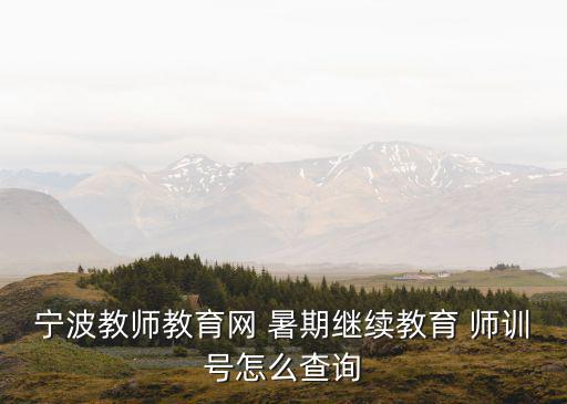 寧波教師教育網(wǎng) 暑期繼續(xù)教育 師訓(xùn)號怎么查詢