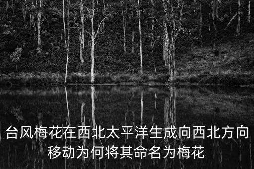 臺風梅花在西北太平洋生成向西北方向移動為何將其命名為梅花