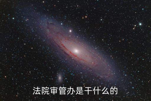 審管辦，審管辦職責