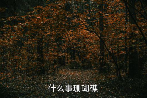 什么事珊瑚礁