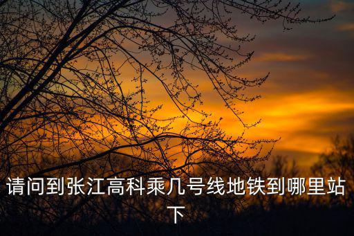 請問到張江高科乘幾號線地鐵到哪里站下