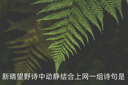 新晴望野詩中動靜結合上網一組詩句是