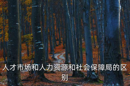 人才市場和人力資源和社會保障局的區別