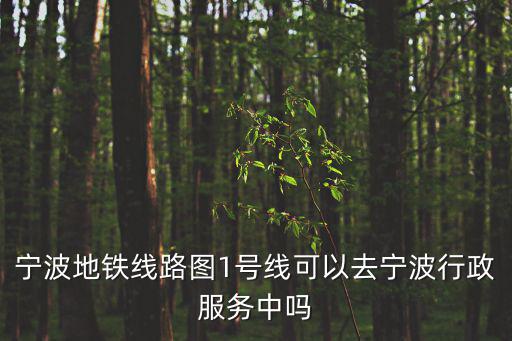 寧波地鐵線路圖1號線可以去寧波行政服務(wù)中嗎