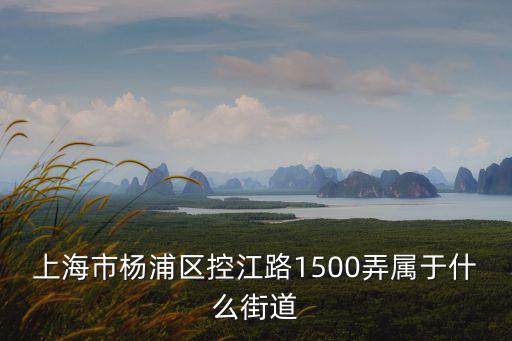 上海市楊浦區控江路1500弄屬于什么街道