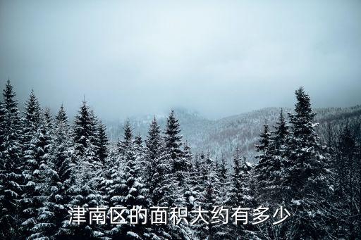 津南，津南區的面積大約有多少