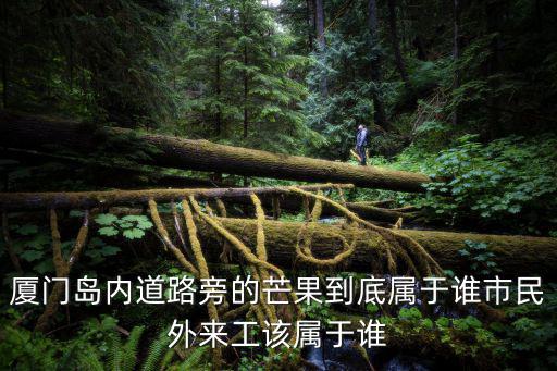 廈門島內(nèi)道路旁的芒果到底屬于誰市民外來工該屬于誰