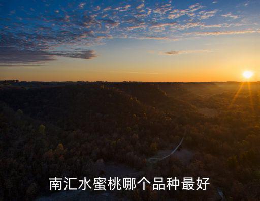 南匯水蜜桃，南匯水蜜桃哪個品種最好