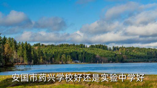 安國市藥興學校好還是實驗中學好