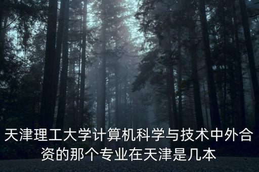 天津理工大學計算機科學與技術中外合資的那個專業在天津是幾本