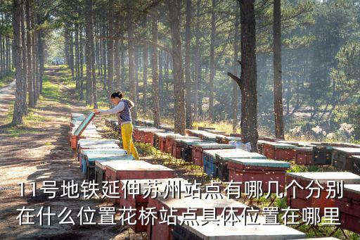 11號地鐵延伸蘇州站點(diǎn)有哪幾個分別在什么位置花橋站點(diǎn)具體位置在哪里