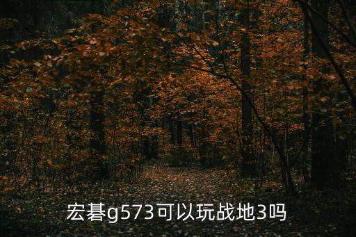 宏碁g573可以玩戰(zhàn)地3嗎
