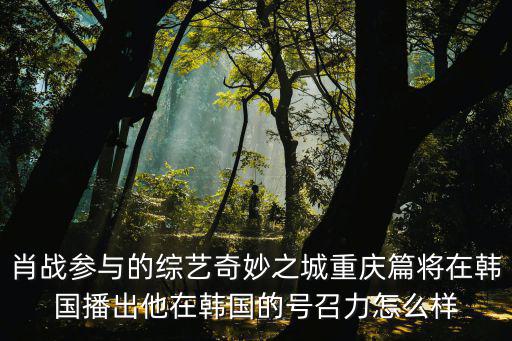 肖戰參與的綜藝奇妙之城重慶篇將在韓國播出他在韓國的號召力怎么樣