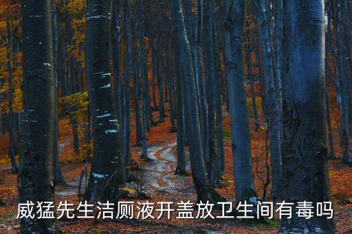 威猛先生潔廁液開(kāi)蓋放衛(wèi)生間有毒嗎