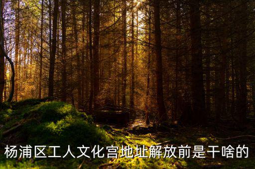 楊浦區工人文化宮地址解放前是干啥的