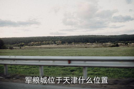 軍糧城，軍糧城是濱海新區嗎