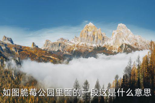 脆莓樂隊，歌星小紅梅英文名字是什么
