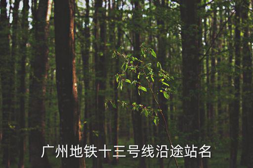 廣州地鐵十三號線沿途站名
