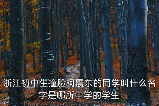 浙江初中生撞臉柯震東的同學叫什么名字是哪所中學的學生