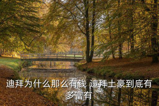 迪拜為什么那么有錢 迪拜土豪到底有多富有
