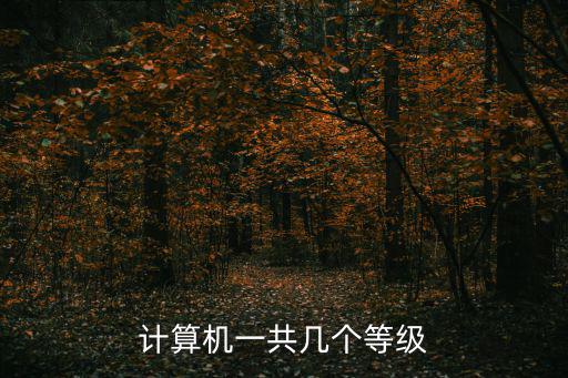 計算機一共幾個等級